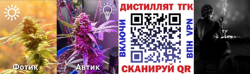 KRAKEN ONION  Киров  ТГК жижа 
